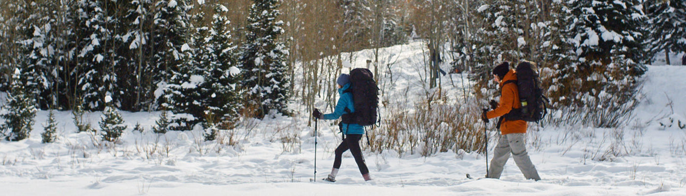 Two people snowshow together through a snowy forest while wearing TETON Sports Backpacks.