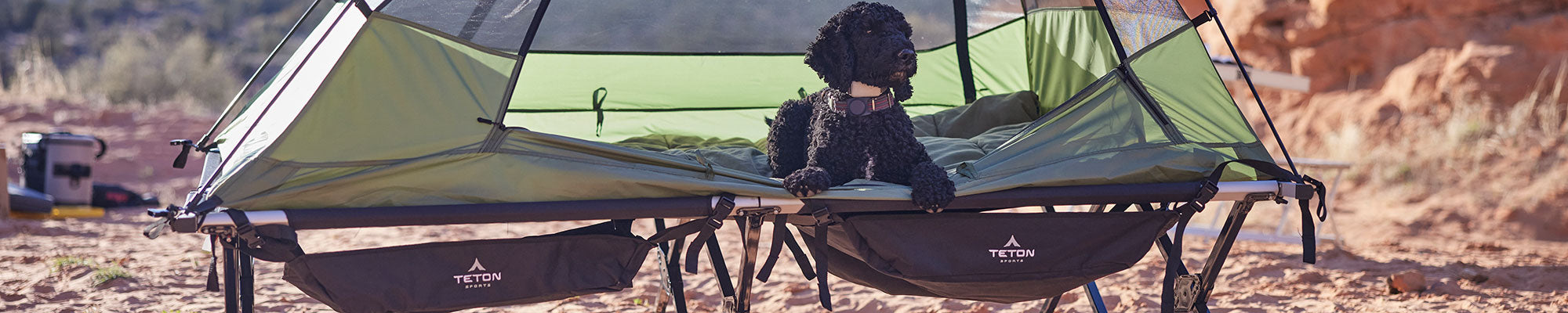 A dog sits in a Vista tent atop TETON Sports cots with the under storage accessory attached.