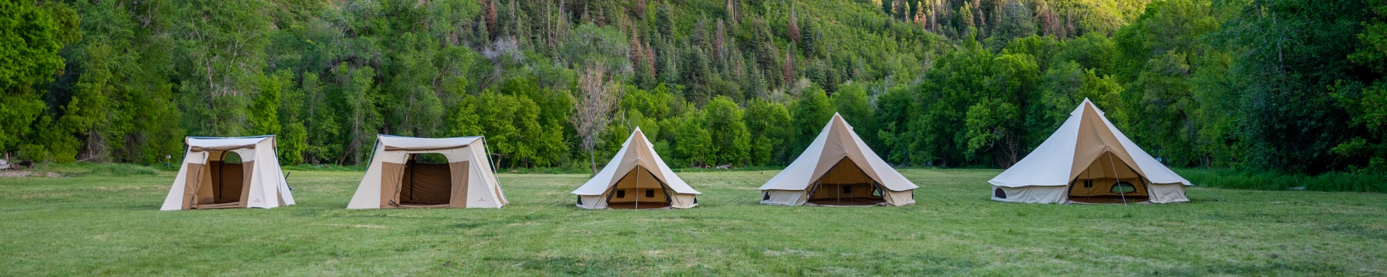 Image shows all five sizes and styles of TETON Sports canvas tents in a row on a grassy field surrounded by green trees.