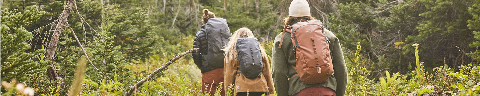 Three friends hike through a green forest with their TETON Sports Numa backpacks.
