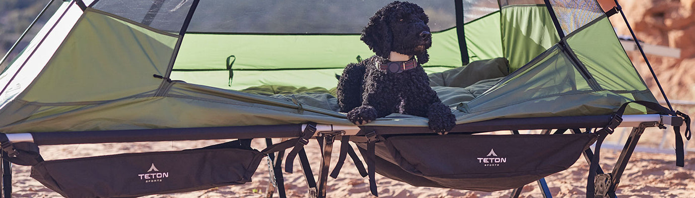 A dog is seen in a Vista tent setup on top of the TETON Sports cots with the accessories attached.