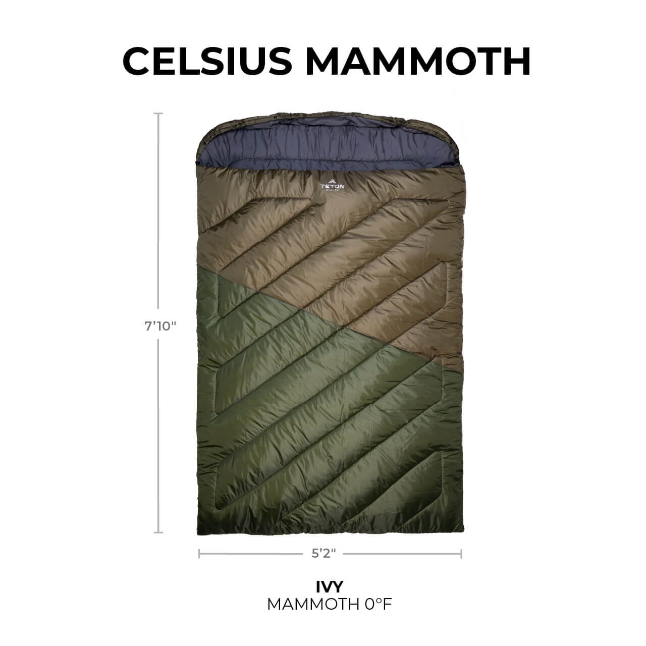 TETON Sports Celsius Mammoth 0° Sleeping Bag Ivy 10121S