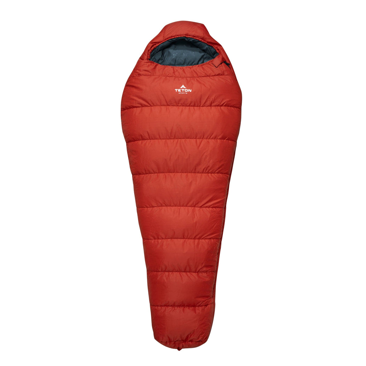 Amazon.com: Coleman Sleeping Bag—Tidelands 30° Mummy Sleeping Bag for  Adults : Sports & Outdoors